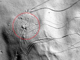 Ligne Maginot - VERDOT - (Casemate d'artillerie) - Un emplacement possible