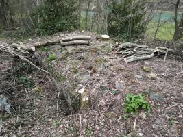 Ligne Maginot - BB36 - LE BOIS BRYAS - (Blockhaus pour arme infanterie) - 