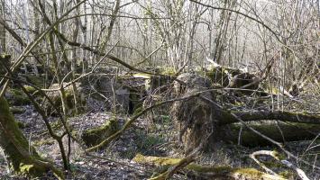 Ligne Maginot - BOIS KARRE - (Casernement) - 