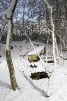 Ligne Maginot - BOIS KARRE - (Casernement) - Vestiges