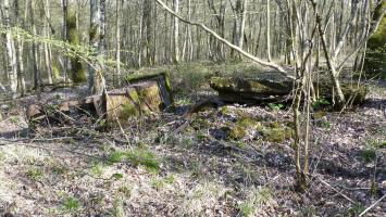 Ligne Maginot - BOIS KARRE - (Casernement) - 
