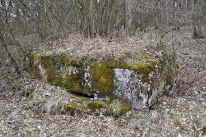 Ligne Maginot - CB73-C - KUHDRECK 1 - (Blockhaus pour arme infanterie) - La face avant donnant sur la route