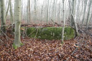 Ligne Maginot - H52 - (Chambre de coupure) - 