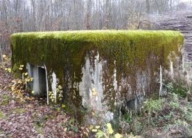 Ligne Maginot - CB235 - RIPPERT 1 - (Blockhaus pour canon) - Vue sur l'entrée pour la pièce et l'entrée du personnel.