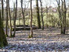 Ligne Maginot - CB256 - BOIS DE ZEITERHOLZ SUD - (Blockhaus pour canon) - 