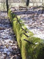 Ligne Maginot - CB256 - BOIS DE ZEITERHOLZ SUD - (Blockhaus pour canon) - 