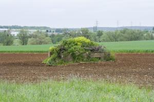 Ligne Maginot - CB268 - STOLBUCH - (Blockhaus pour arme infanterie) - 