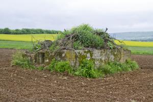 Ligne Maginot - CB268 - STOLBUCH - (Blockhaus pour arme infanterie) - Vue générale du bloc.
