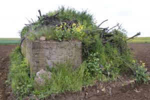 Ligne Maginot - CB268 - STOLBUCH - (Blockhaus pour arme infanterie) - Le créneau principal du bloc est sans doute sur  la droite, caché derrière les gravas et branchages.