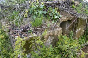 Ligne Maginot - CB268 - STOLBUCH - (Blockhaus pour arme infanterie) - Les ferraillages sont en place mais apparemment pas terminés.
