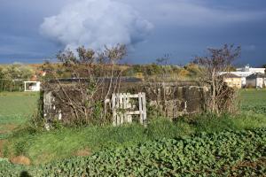Ligne Maginot - CB270 - KLEINE WECKINGEN - (Blockhaus pour canon) - Vue latérale du bloc.
On voit la forêt et les panaches de la centrale nucléaire de Cattenom à l'arrière-plan.