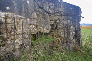 Ligne Maginot - CB270 - KLEINE WECKINGEN - (Blockhaus pour canon) - Vue du créneau, en piètre état