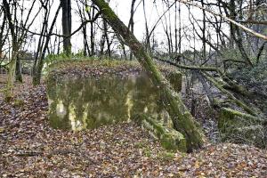 Ligne Maginot - CB280 - RETTELBOURG 2 - (Blockhaus pour arme infanterie) - Façade arrière
