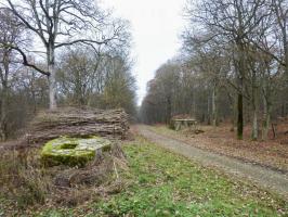 Ligne Maginot - CT57 - (Cuve pour arme d'infanterie) - L'encuvement CT 57 au premier plan et le blockhaus pour canon antichar Rippert 2 au second plan
