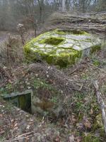 Ligne Maginot - CT57 - (Cuve pour arme d'infanterie) - Au premier plan l'escalier d'accés à l'encuvement.
Un second accés par un puit doté d'une échelle est visible sur le massif bétonné.
