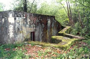 Ligne Maginot - M101B - BOIS DE GUESSLING - (Blockhaus pour arme infanterie) - 