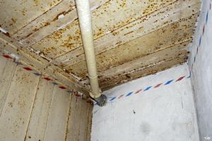 Ligne Maginot - RIPPERT - X13 (QUARTIER KARRE - II/168°RIF) - (Abri) - 