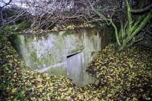 Ligne Maginot - SAINTE MARIE - (Blockhaus pour arme infanterie) -   