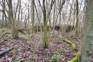 Ligne Maginot - SAINTE MARIE (168° RIF - 70° RAMF) - (PC de Sous-Secteur) - Annexe 1
Extension