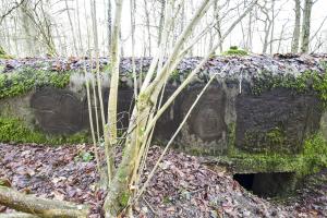Ligne Maginot - SAINTE MARIE (168° RIF - 70° RAMF) - (PC de Sous-Secteur) - Annexe 1
Extension