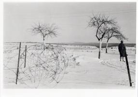 Ligne Maginot - SOETRICH - A11 - (Ouvrage d'artillerie) - Le bloc 5 vu depuis la route d'accès à l'observatoire du Luxembourg