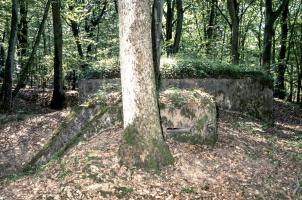 Ligne Maginot - CB203BIS - OBERHEIDE 06 - (Observatoire d'artillerie) - 