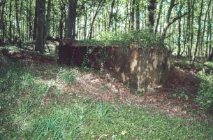 Ligne Maginot - CB117-C - OBERHEIDE 03 - (Blockhaus pour arme infanterie) - 