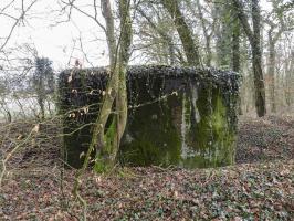 Ligne Maginot - BB21-D - GRESSES WALD - (Blockhaus pour arme infanterie) - Le blockhaus en 2022.