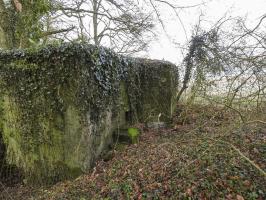 Ligne Maginot - BB21-D - GRESSES WALD - (Blockhaus pour arme infanterie) - La façade de tir.