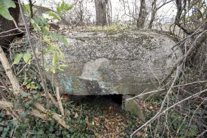 Ligne Maginot - 41C/3 - BLEINFELD SUD - (Blockhaus pour arme infanterie) - 