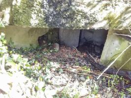 Ligne Maginot - 41C/3 - BLEINFELD SUD - (Blockhaus pour arme infanterie) - Entrée sud-ouest