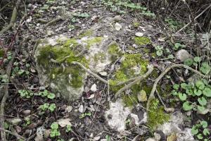 Ligne Maginot - 41B/3 - BLEINFELD NORD - (Blockhaus de type indéterminé) - Reste de béton et ferraille