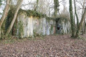 Ligne Maginot - 21/2 - CIMETIERE DES JUIFS - (Abri) - Vue générale
