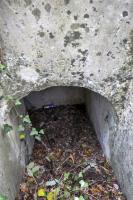 Ligne Maginot - WOLFGANTZEN NORD OUEST 4 - (Blockhaus pour arme infanterie) - 