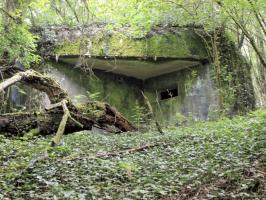Ligne Maginot - CB2 - (Blockhaus pour canon) - Façade arrière