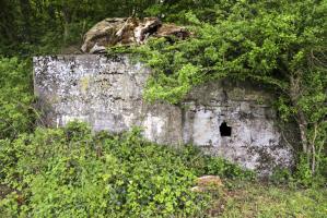 Ligne Maginot - CB431 - KLOSTERBUSCH 3 - (Blockhaus pour arme infanterie) - Entrée et créneau latéral