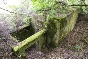 Ligne Maginot - CB431 - KLOSTERBUSCH 3 - (Blockhaus pour arme infanterie) - 