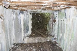 Ligne Maginot - CB431 - KLOSTERBUSCH 3 - (Blockhaus pour arme infanterie) - 