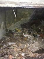 Ligne Maginot - AUENHEIM 3 - (Cuve pour canon) - 