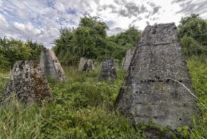 Ligne Maginot - BIDESFELD - (Obstacle antichar) -  Les obstacles antichars de nos jours, malheureusement ils disparaissent avec la végétation.