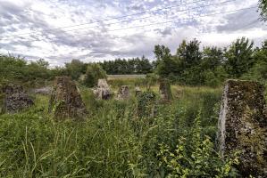 Ligne Maginot - BIDESFELD - (Obstacle antichar) - Une vue globale des obstacles antichars. 