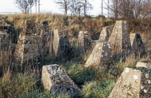 Ligne Maginot - BIDESFELD - (Obstacle antichar) - 