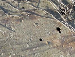 Ligne Maginot - 24T - (Chambre de coupure) - 