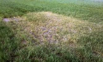 Ligne Maginot - 49M - (Chambre de coupure) - 