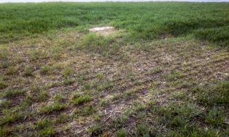 Ligne Maginot - 49M - (Chambre de coupure) - 