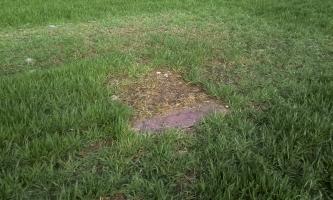 Ligne Maginot - 49M - (Chambre de coupure) - Comme vous pouvez le constater, elle disparait doucement. On remarque une démarcation avec la végétation et la trappe d'accès  