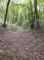 Ligne Maginot - BASSE-YUTZ - KUNTZIG (5°BIE/2/372°RALVF) - (Position ALVF) - Vue d'un épi