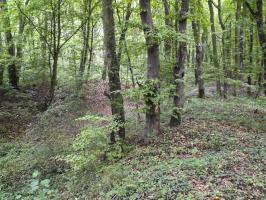 Ligne Maginot - BASSE-YUTZ - KUNTZIG (5°BIE/2/372°RALVF) - (Position ALVF) - Vue des restes d'épi