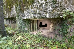 Ligne Maginot - CB3 - (Blockhaus pour canon) - Vue des deux créneaux