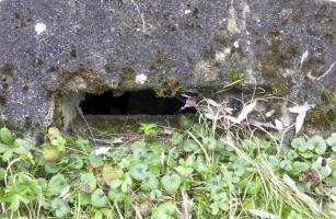 Ligne Maginot - CB4-B - BIDESFELD - (Blockhaus pour arme infanterie) - 